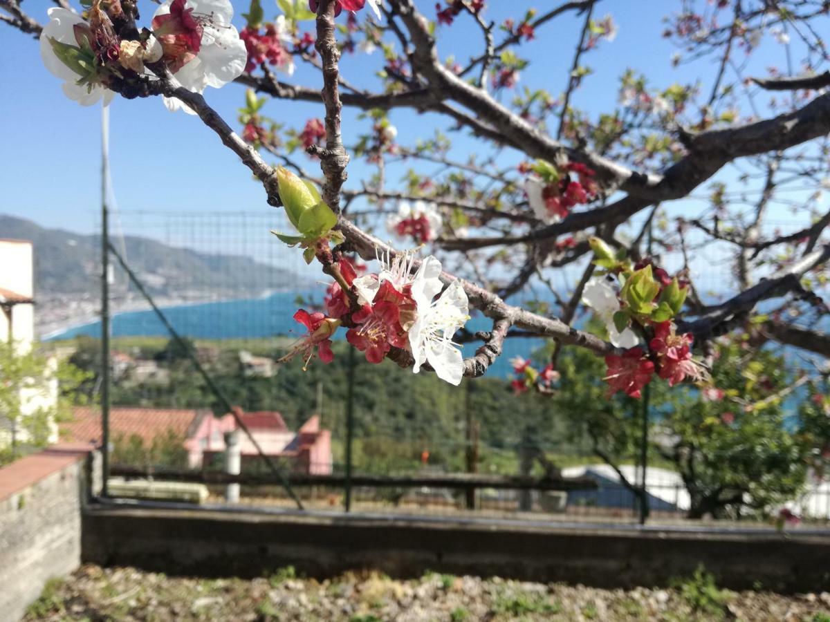 Villa Mariella Ταορμίνα Εξωτερικό φωτογραφία